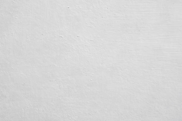 Trusted Kana, UT Mold Removal Experts